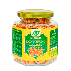 Đông trùng hạ thảo 20g